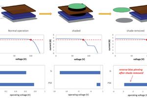 Destructive Reverse Bias in Perovskite Tandem Modules